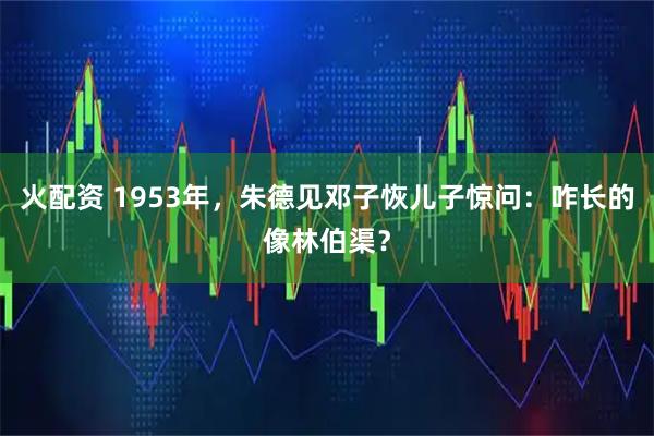 火配资 1953年，朱德见邓子恢儿子惊问：咋长的像林伯渠？