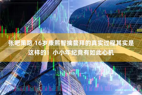 张吧策路 16岁康熙智擒鳌拜的真实过程其实是这样的！小小年纪竟有如此心机