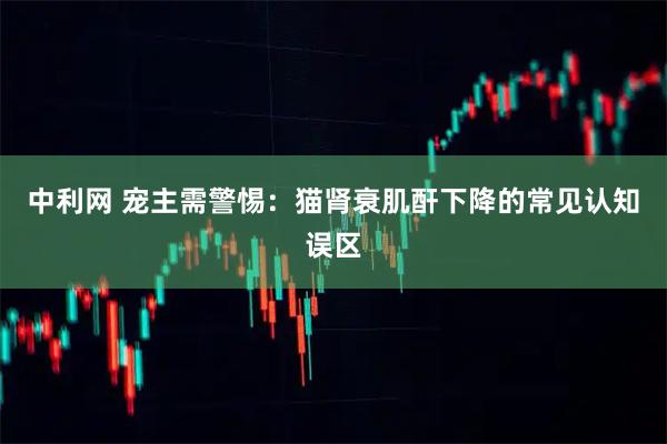 中利网 宠主需警惕：猫肾衰肌酐下降的常见认知误区