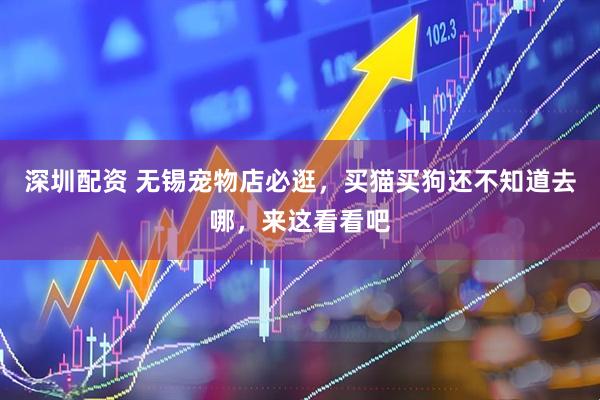 深圳配资 无锡宠物店必逛，买猫买狗还不知道去哪，来这看看吧